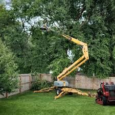 Artificial Turf Installation in Norridge, IL